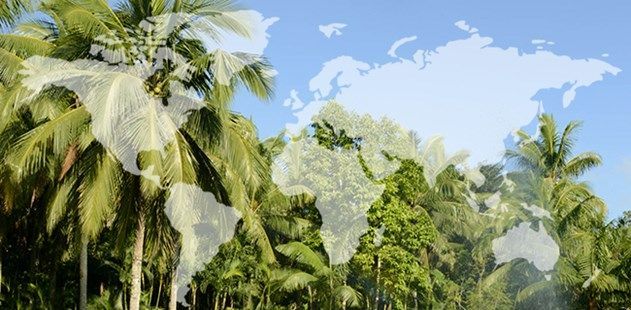 Ult Trip 2 Blog Header