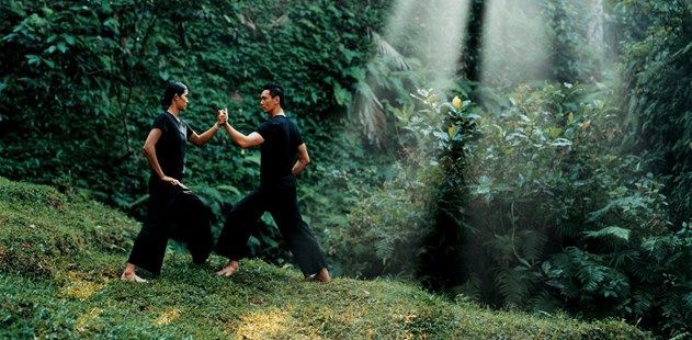 COMO Shambhala Tai Chi Blog Header