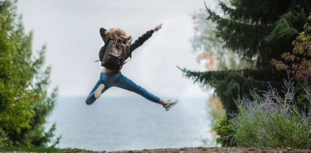 Pexels Photo 214574 Blog Header