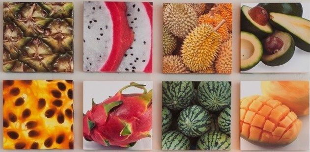 8 Top Foods For Weight Loss Blog Header