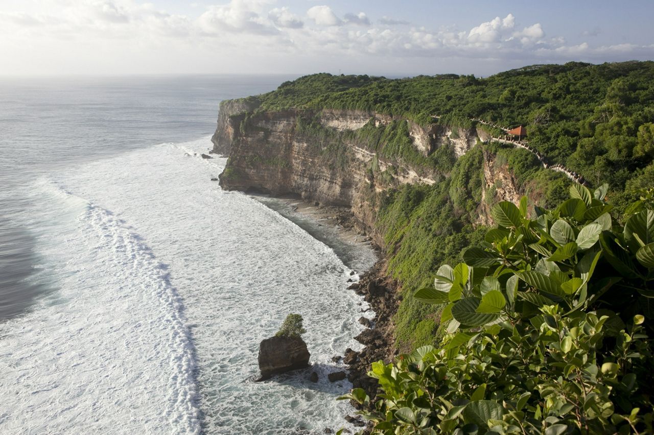 Bali Discover Recover™