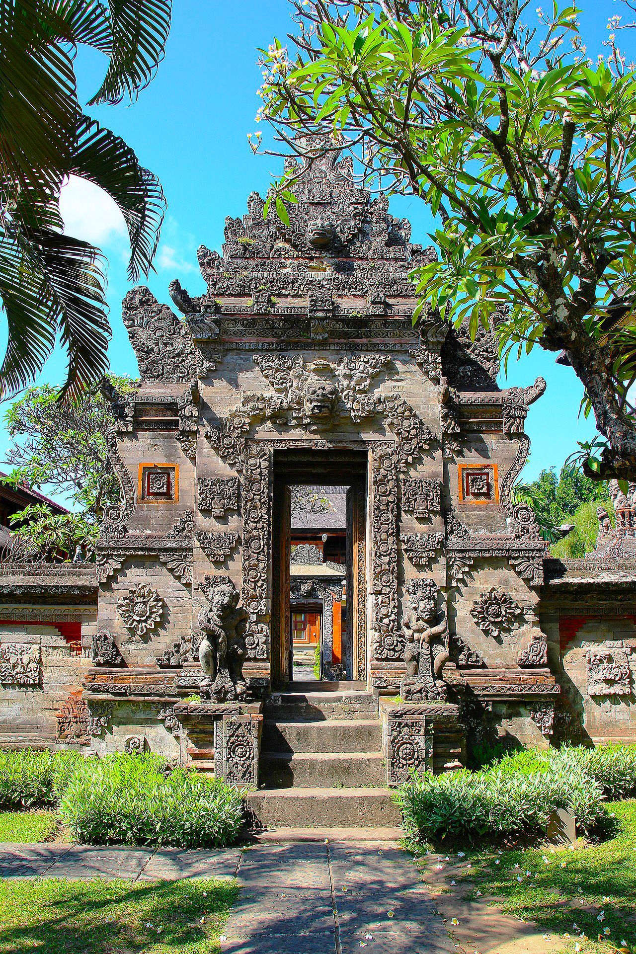 Bali Discover Recover™