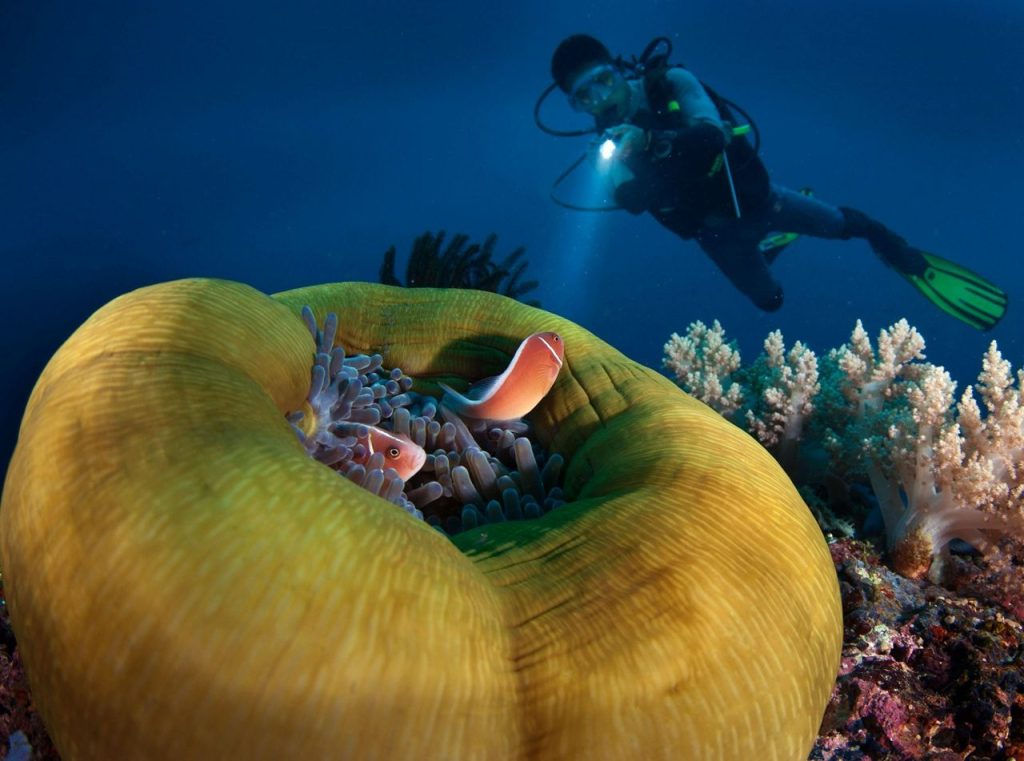 Scuba Diving at Atmosphere Resort