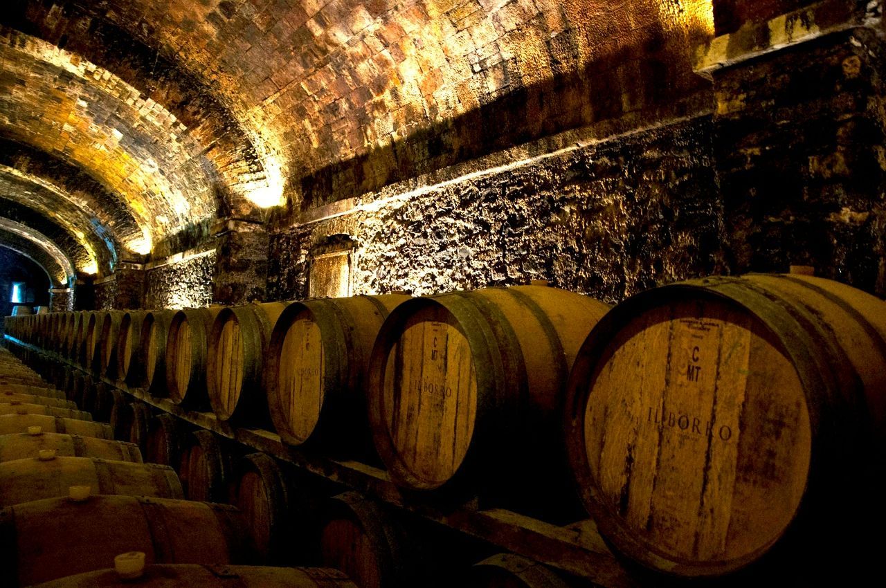 Italy Discover Recover™