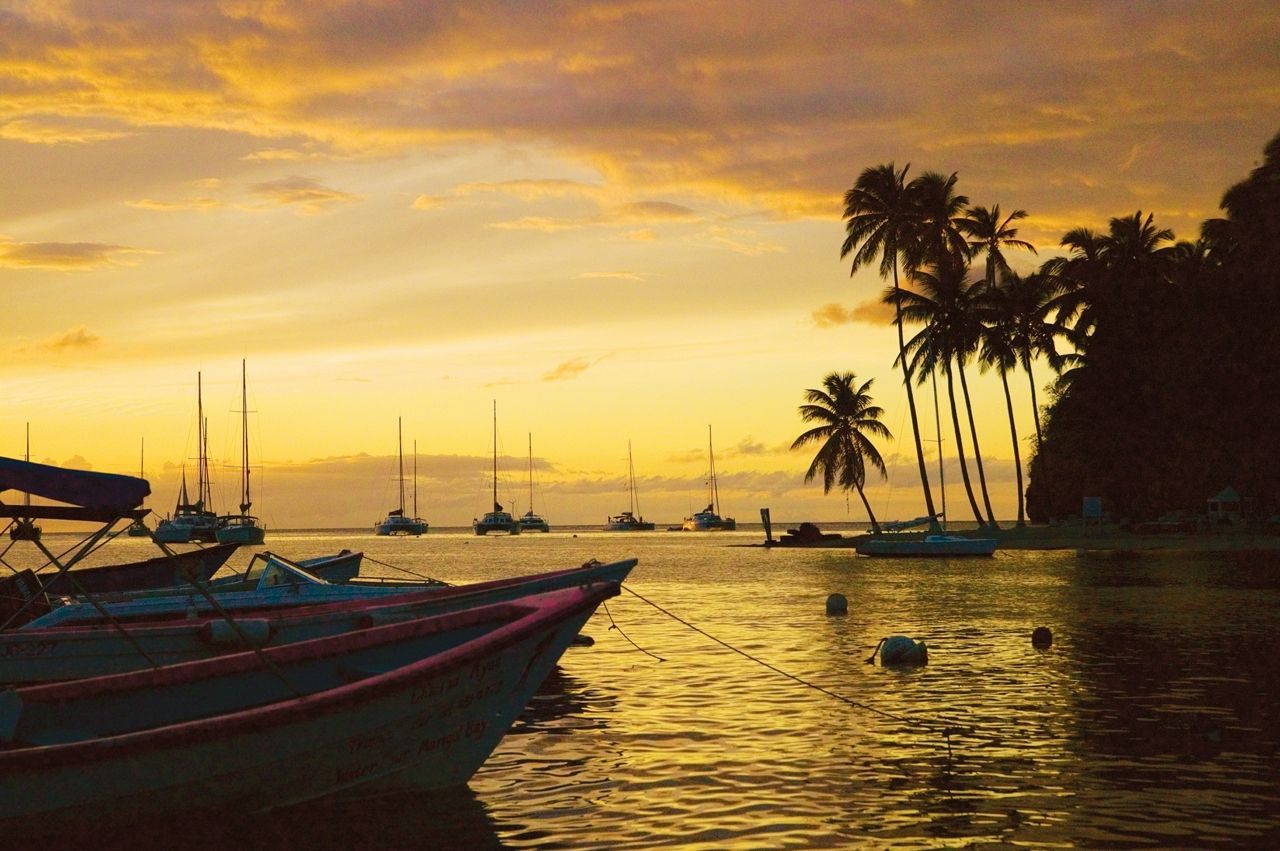 St Lucia Discover Recover™