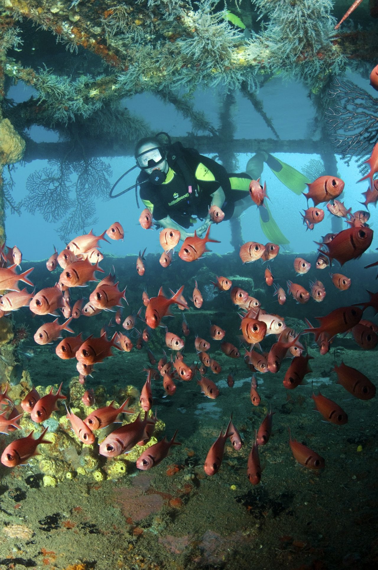 St Lucia Discover Recover™