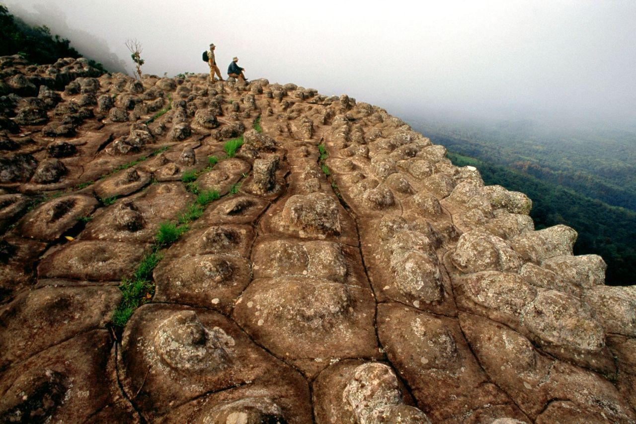 Thailand Discover Recover™