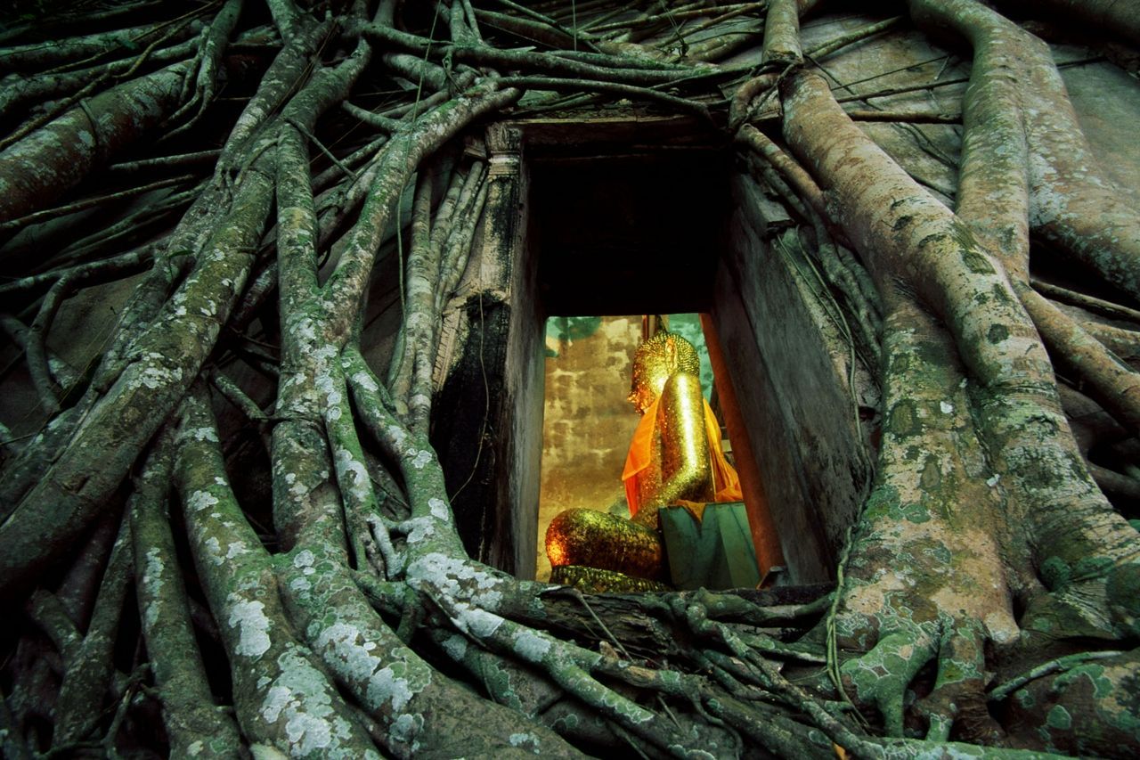 Thailand Discover Recover™