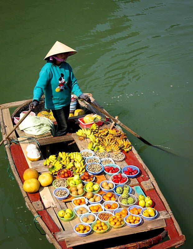 Vietnam Discover Recover™