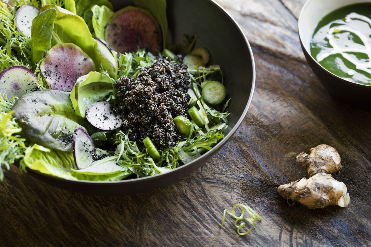 REVĪVŌ Wellness Resort