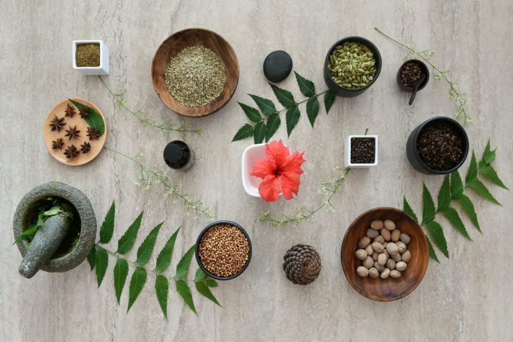 24 Hours in the Life of A Wellpreneur