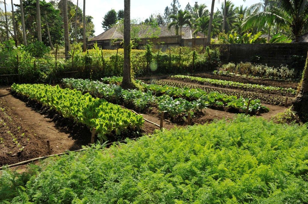 The Farm at San Benito