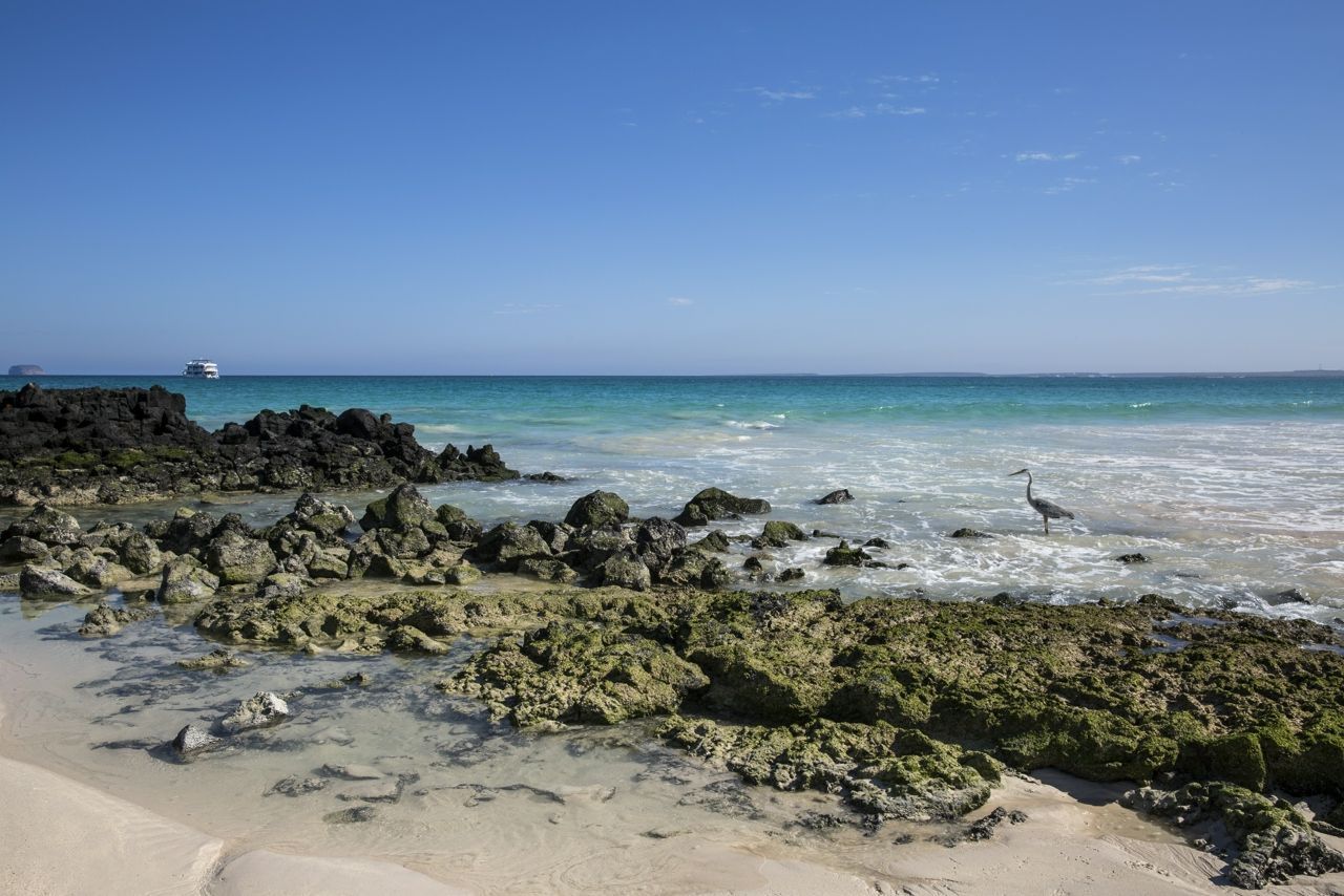 Active Tours - Galapagos