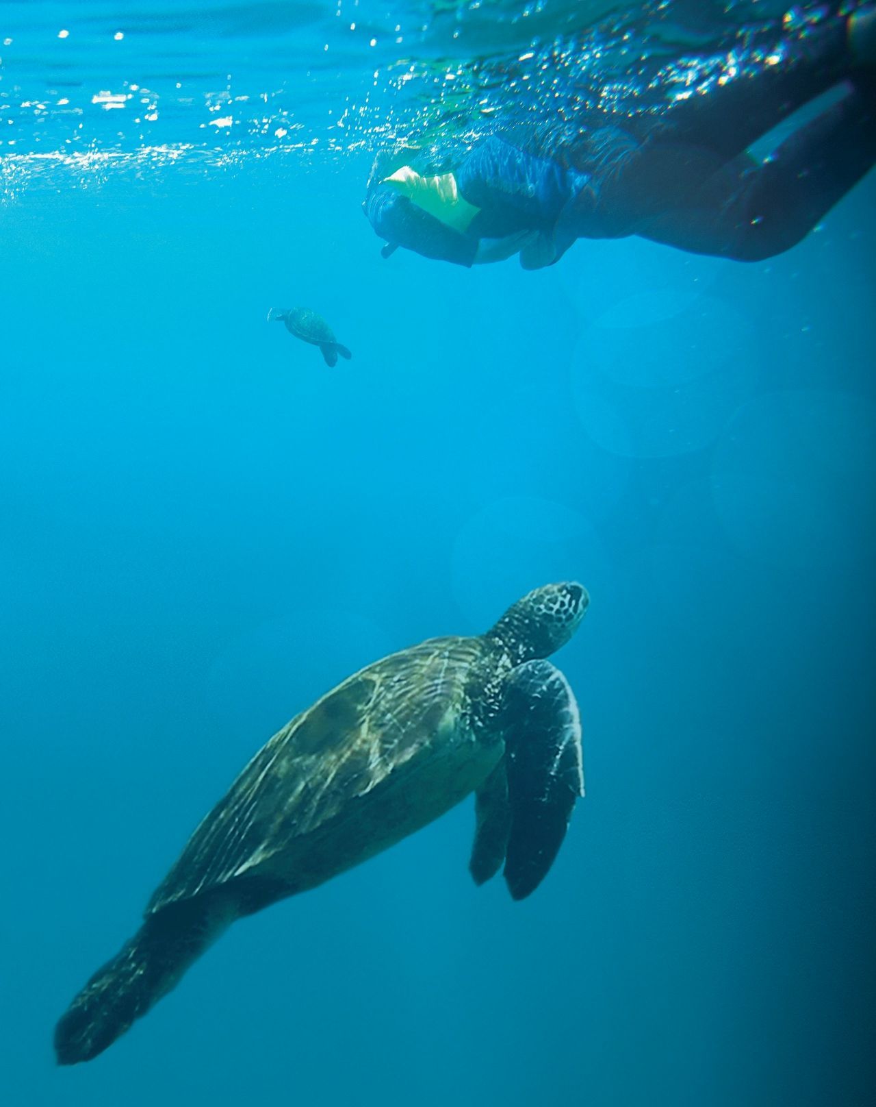 Active Tours - Galapagos