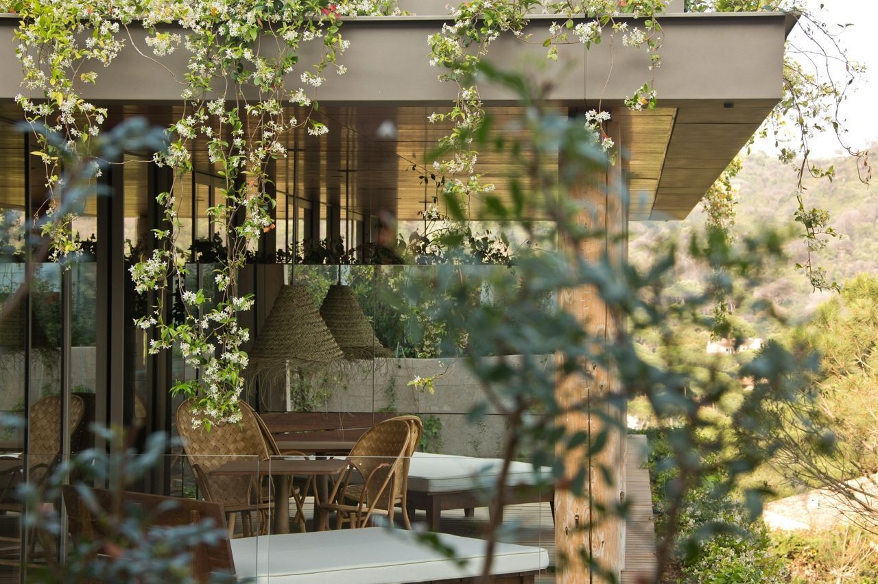 Sport at Lily of the Valley