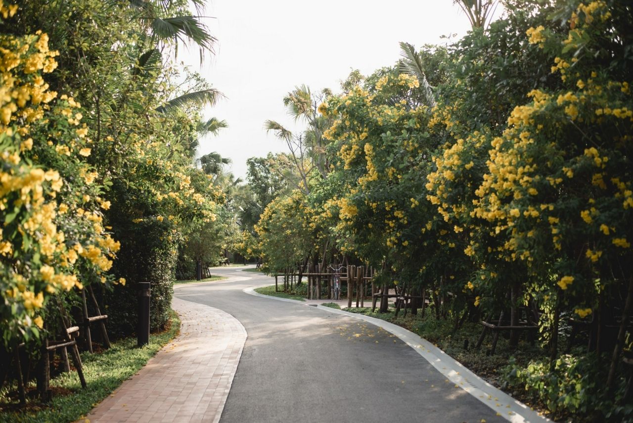 RAKxa Integrative Wellness