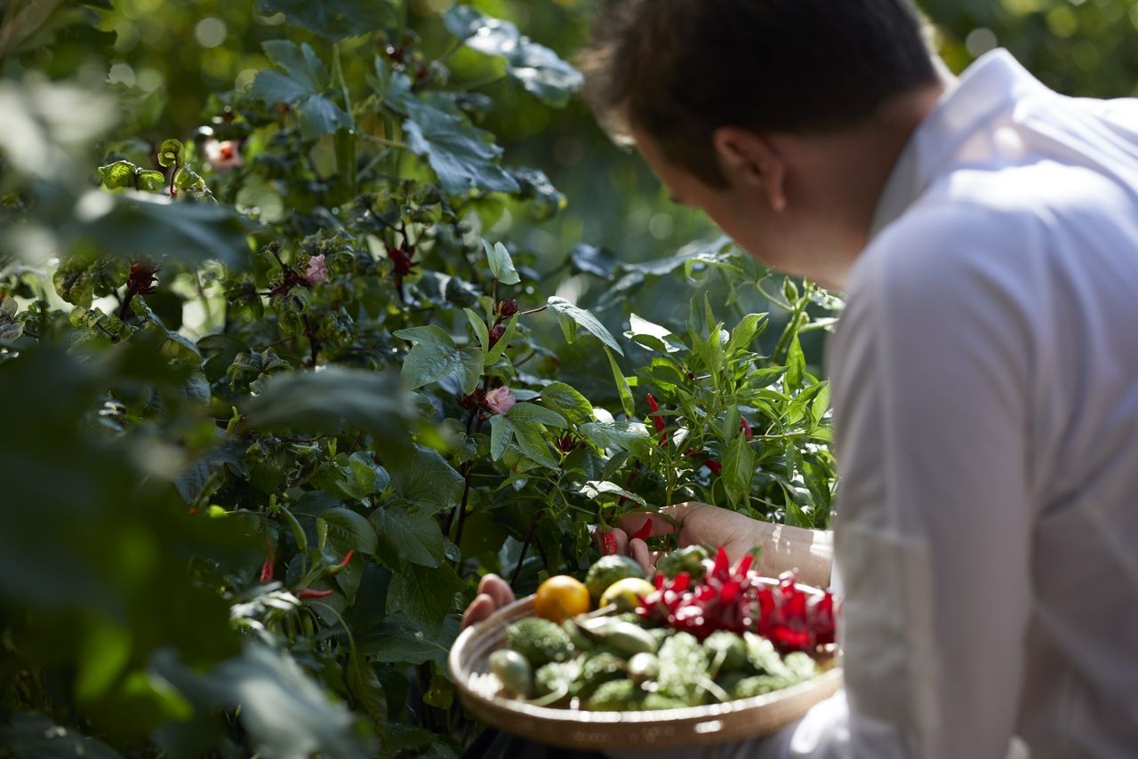 Sense of RAKxa at RAKxa Integrative Wellness