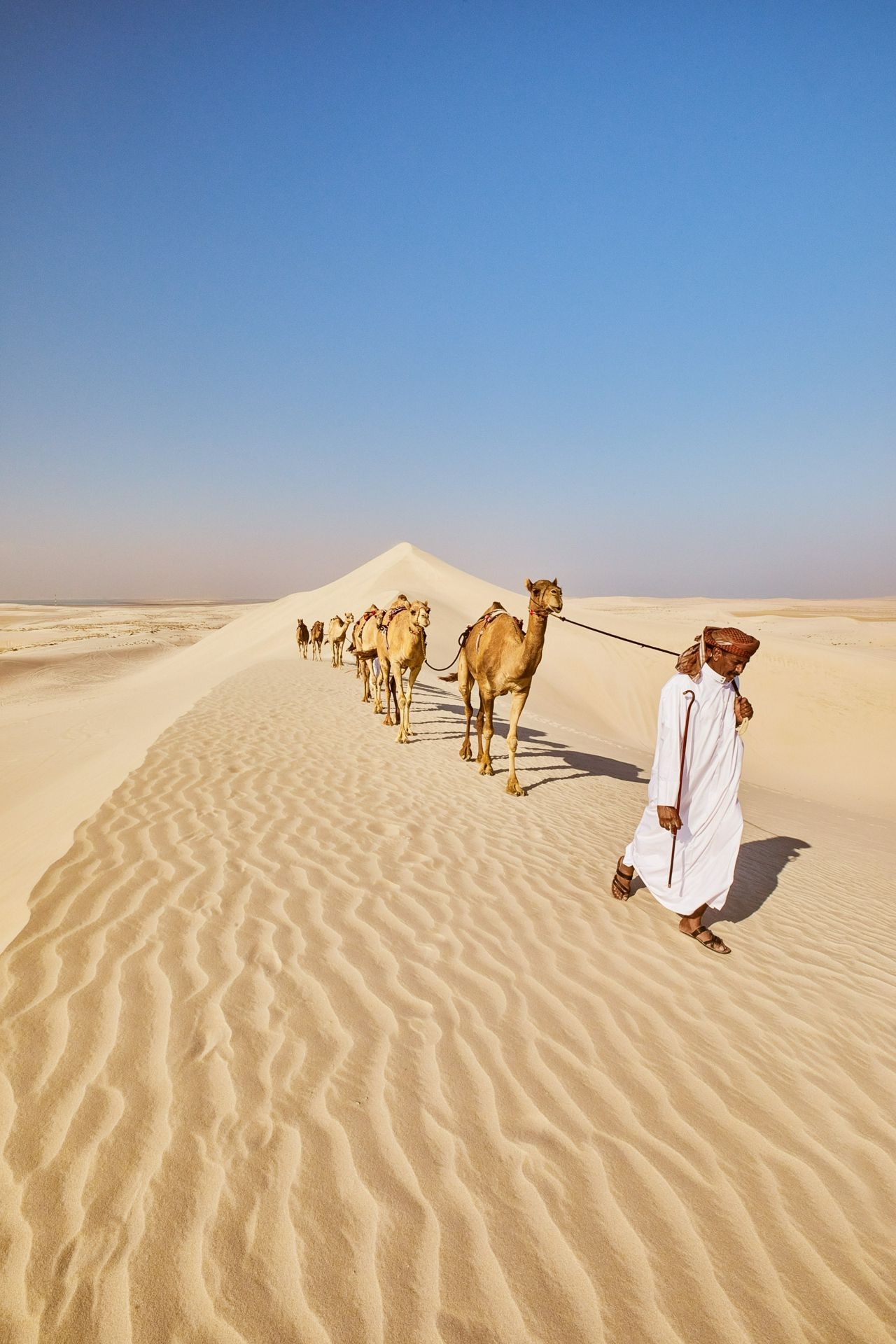 Qatar Discover Recover™