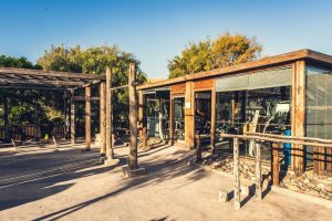 Yoga Relax at Paradis Plage