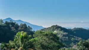 The-Retreat-Costa-Rica-view.jpg
