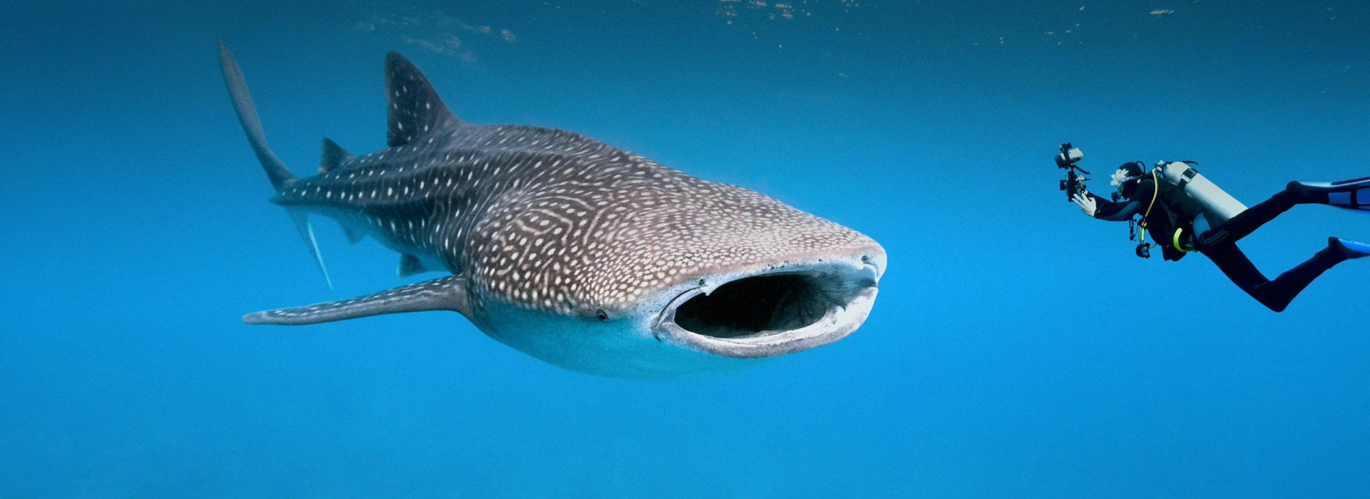 Maldives - EXPERIENCE1