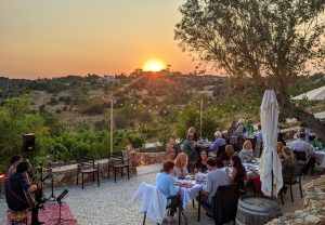 Portugal - QuintadosCapinhasVineyard