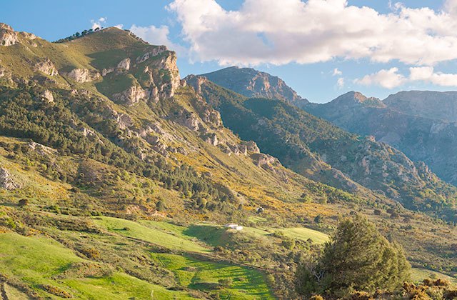 Spain - SierradelasNievesNationalPark
