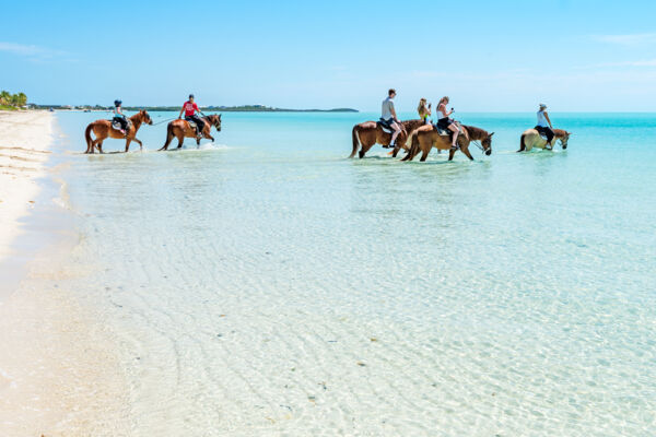 Turks & Caicos - HorseRidingalongLongBay